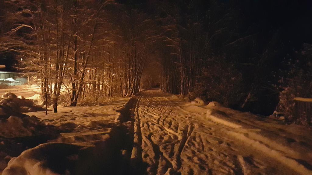 Ferienhaus Gundi Pettneu am Arlberg Eksteriør billede